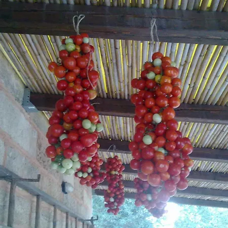 - Salento 4+1